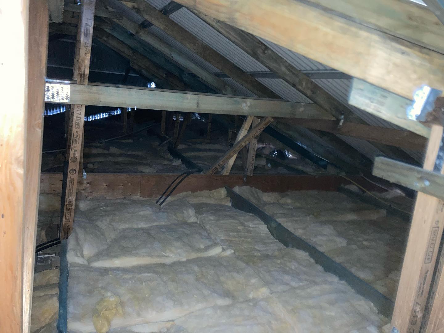 Ceiling Insulation Project